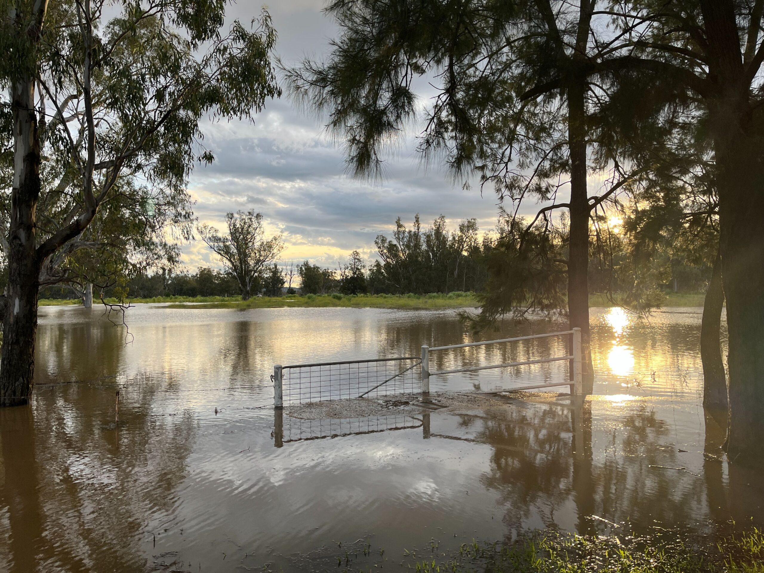 Our isolated island home: stranded Gunnedah locals recount flood experience
