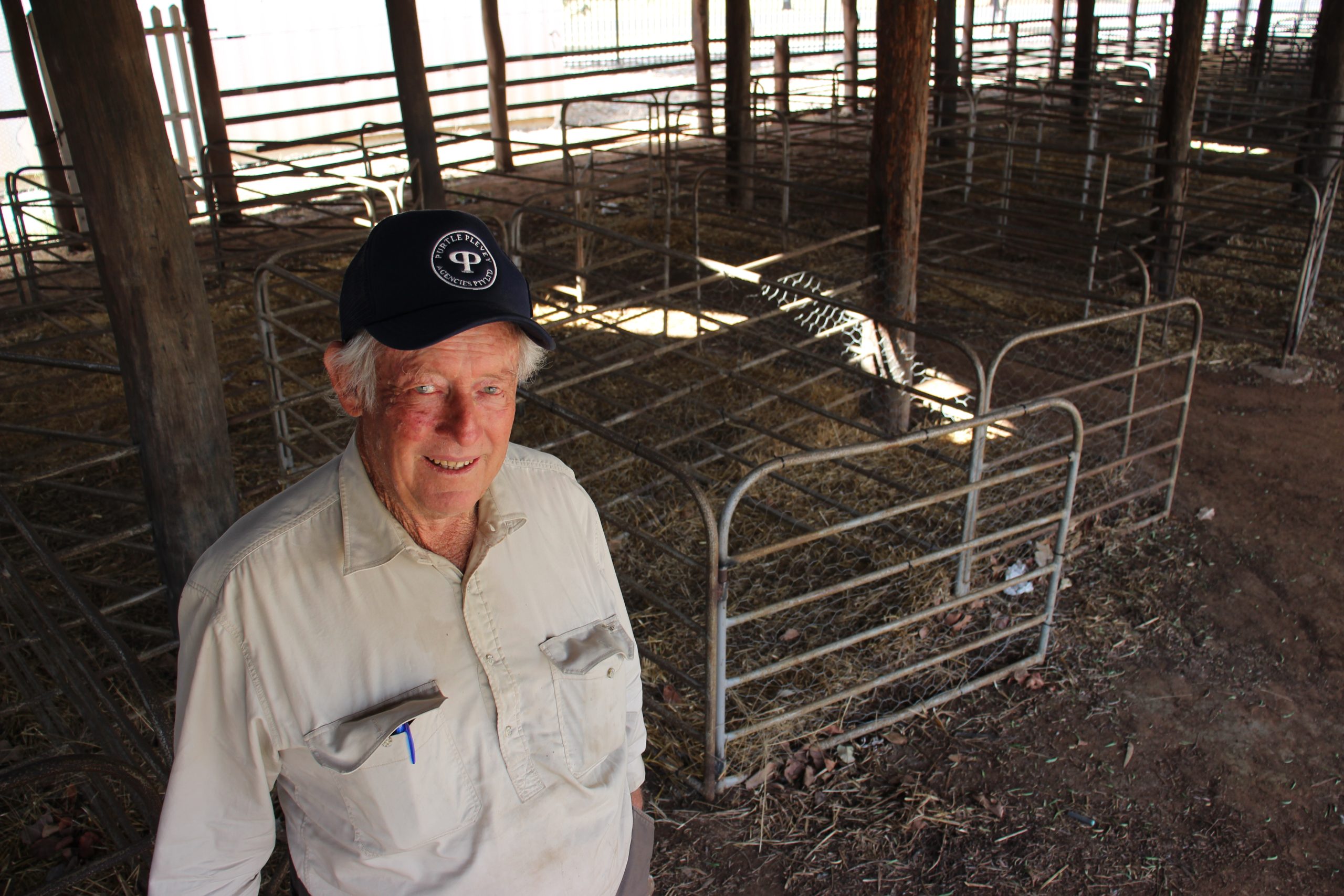 ‘Sheep shed can be saved’