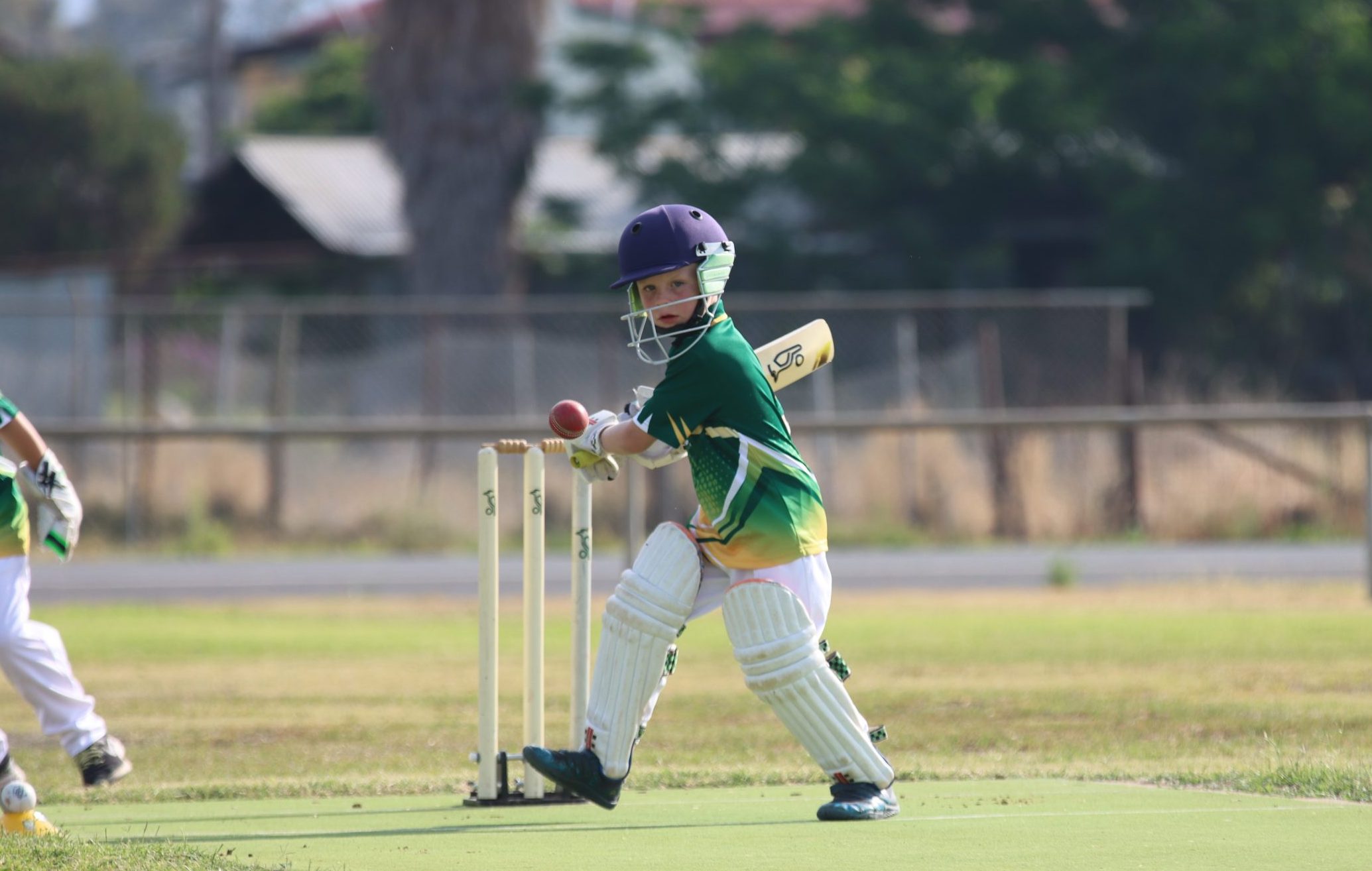 Junior cricketers glove up for new season | GALLERY