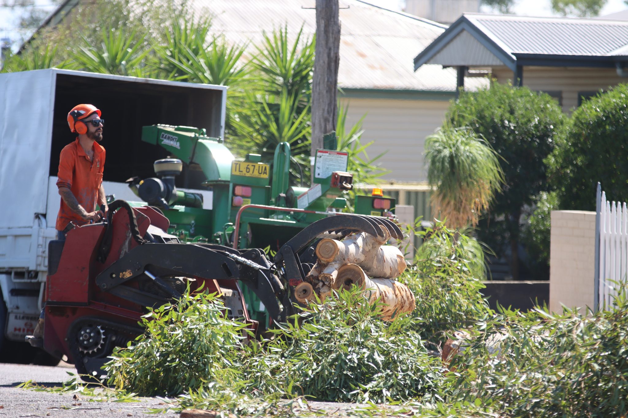 Termiteriddled trees removed for public safety in Gunnedah Gunnedah Times