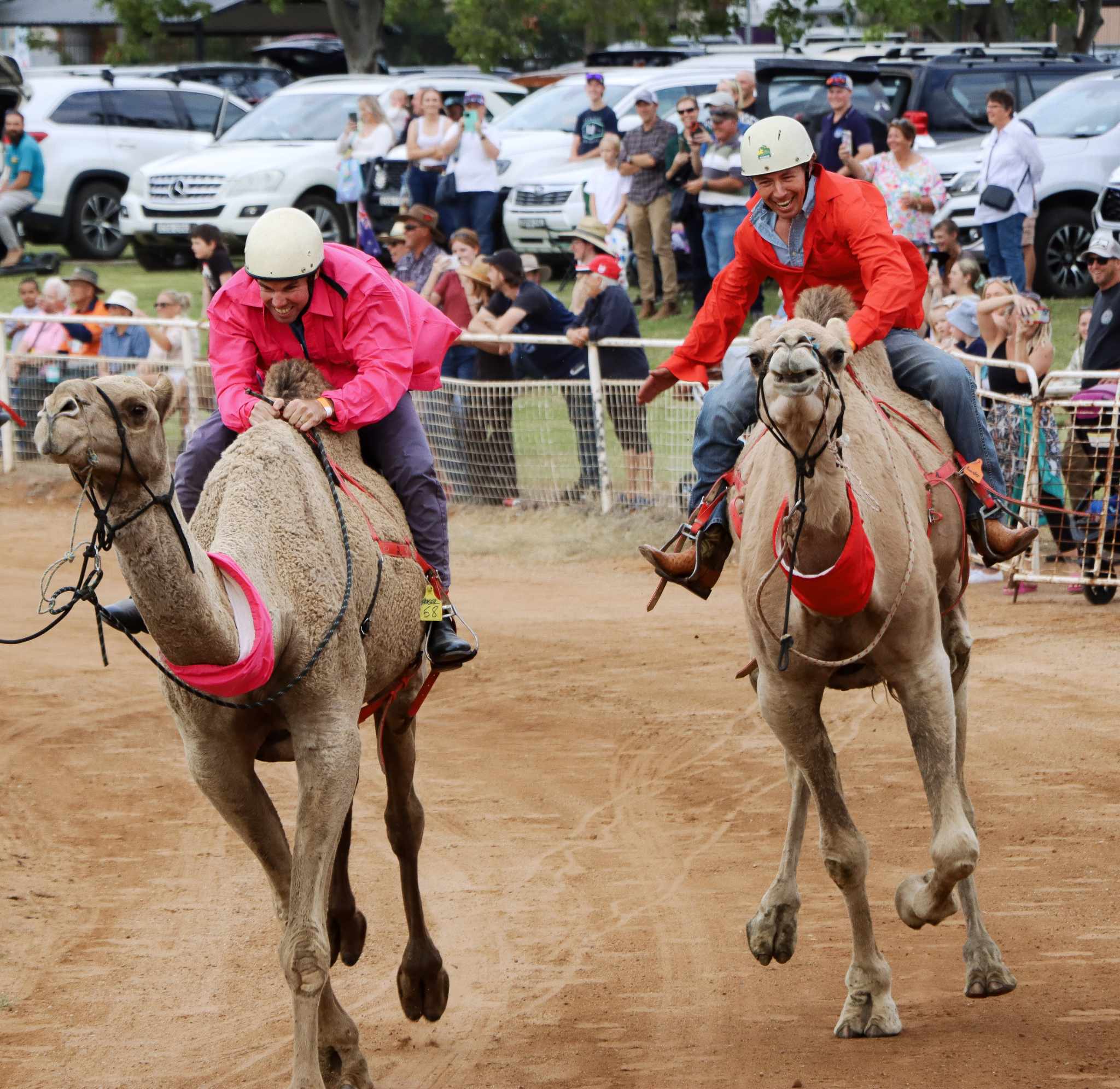 Editorial: The camel racing experience