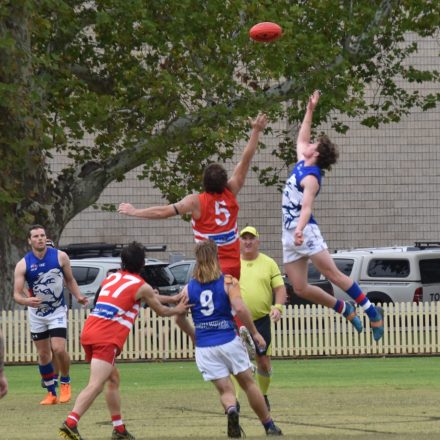 Bulldogs young guns valiant in defeat