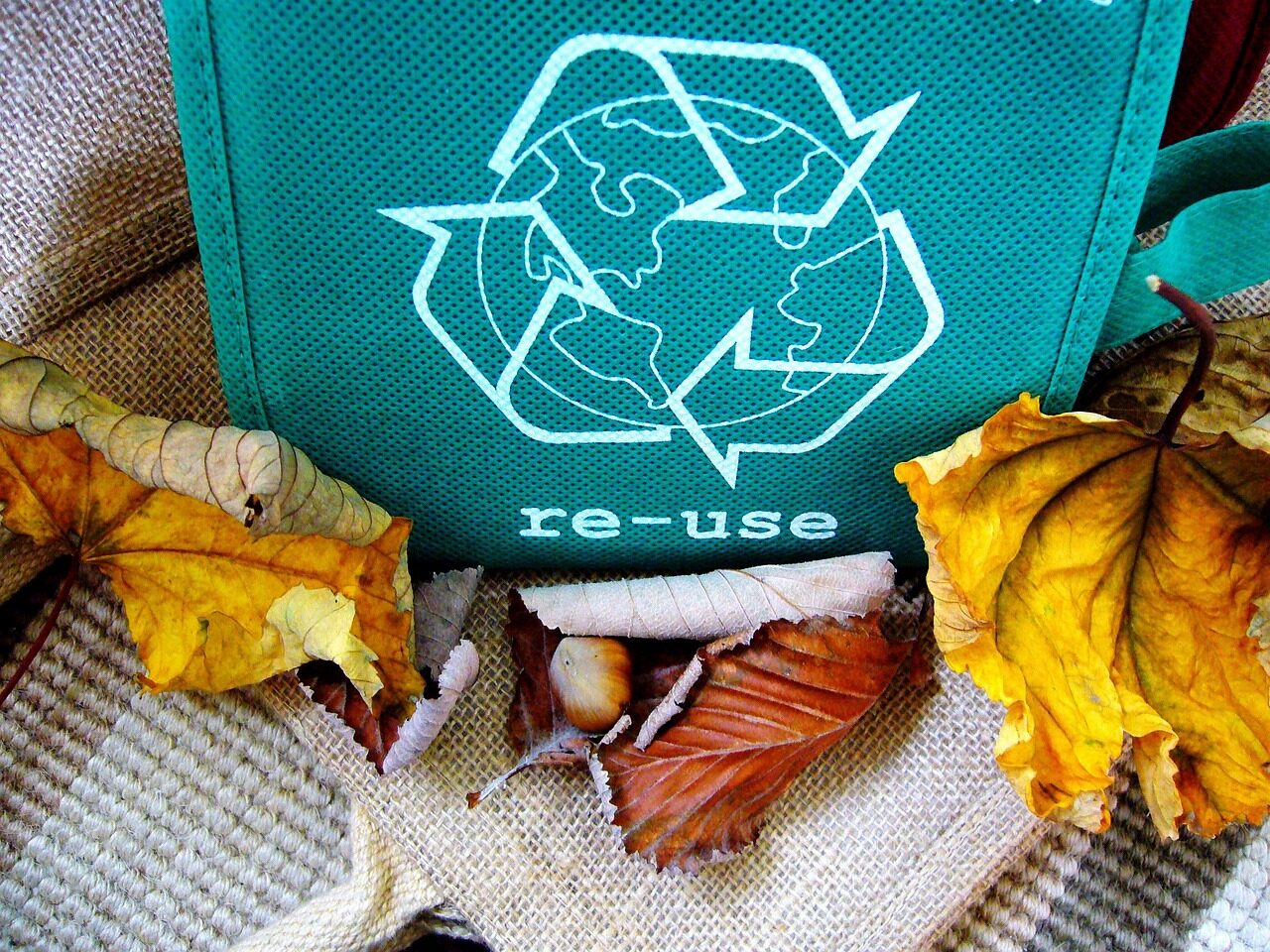 Books to help you recycle and ‘upcycle’