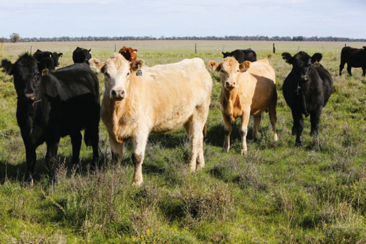Long term TSR permit applications invited