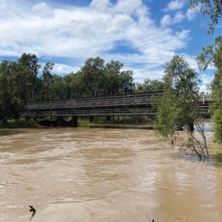 Community nominations called for Gunnedah’s flood risk committee