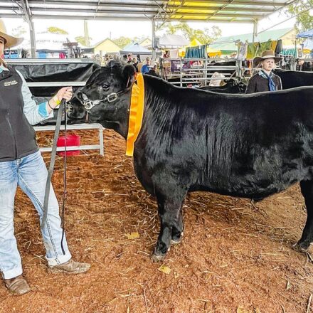 Great success at Wingham Beef Week