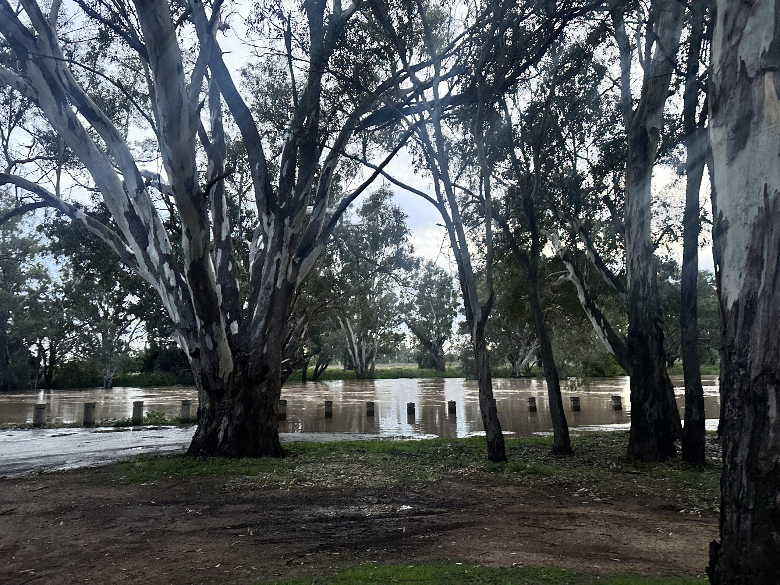 Flood warnings continue for Gunnedah and surrounds | SES