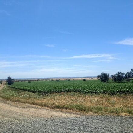 Substantial water price reprieve for farmers