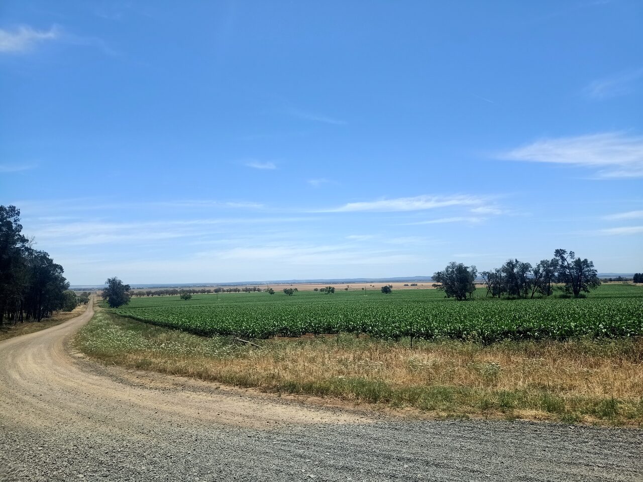 Substantial water price reprieve for farmers