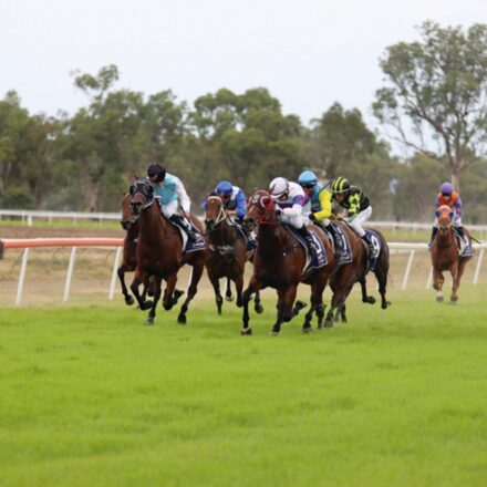 Gold Cup 2025: Gunnedah’s road to the Big Dance