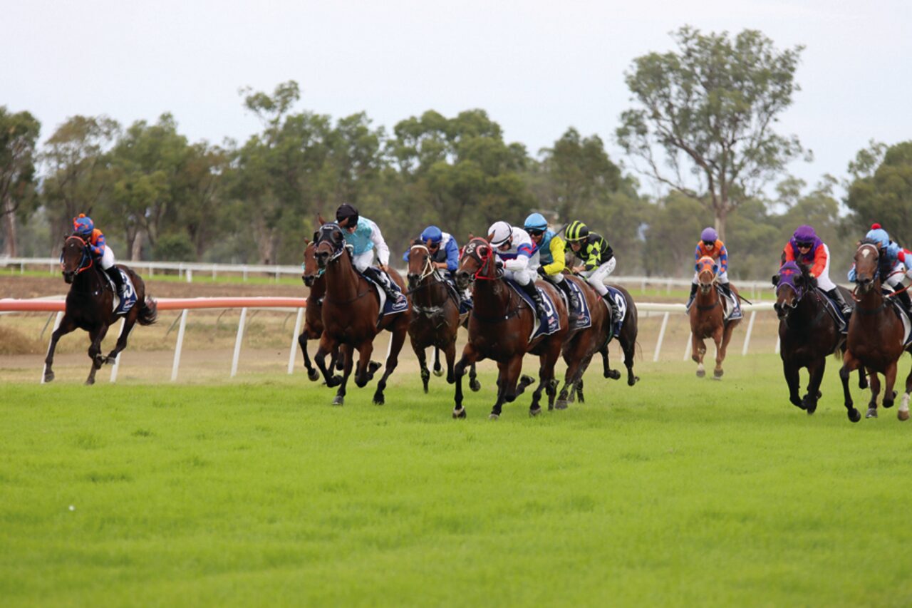 Gold Cup 2025: Gunnedah’s road to the Big Dance