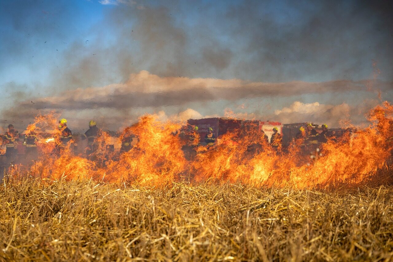 Gunnedah ‘high-risk’ for bushfire
