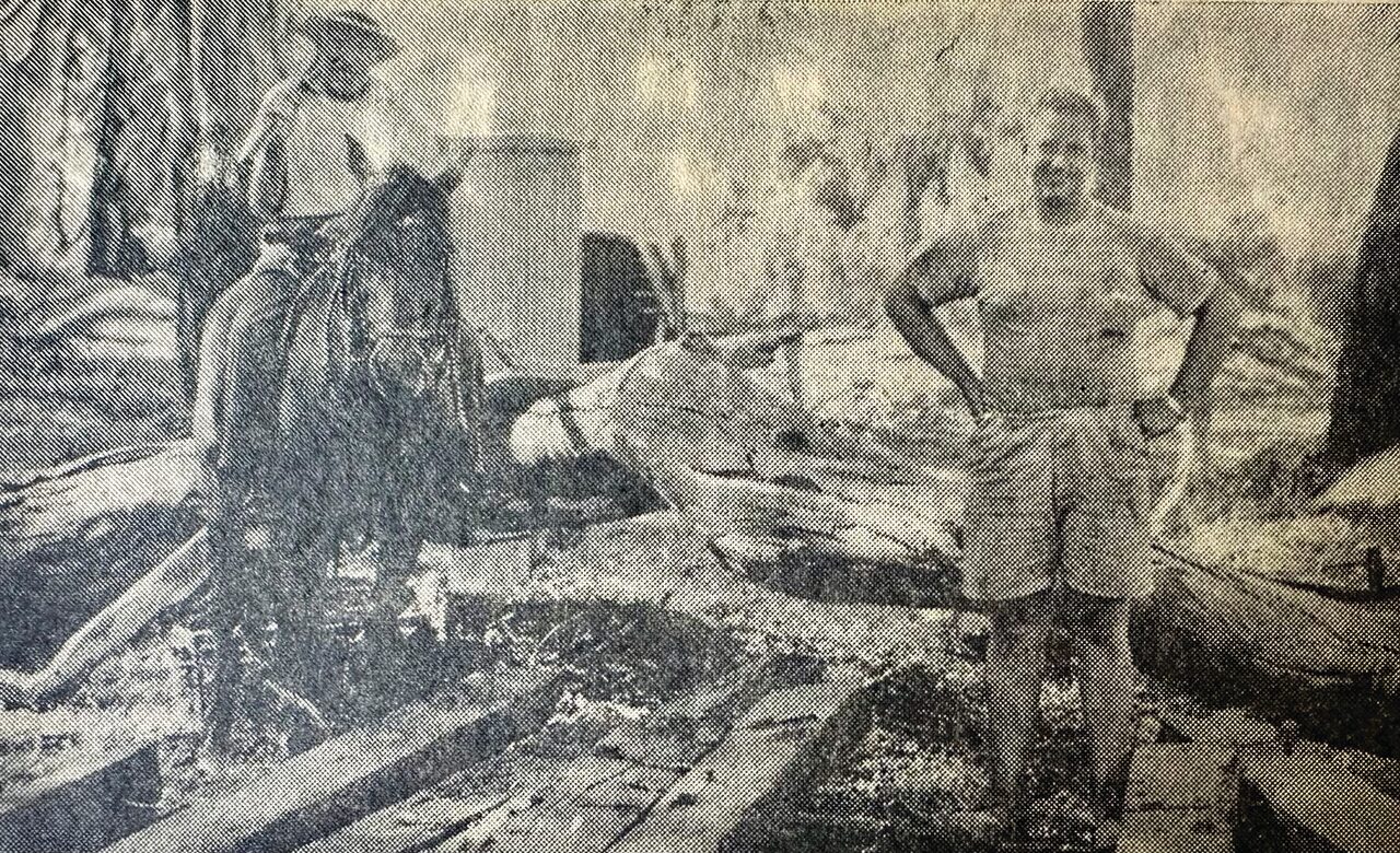 Chance discovery in 1961 unearths historic railway link on the Namoi