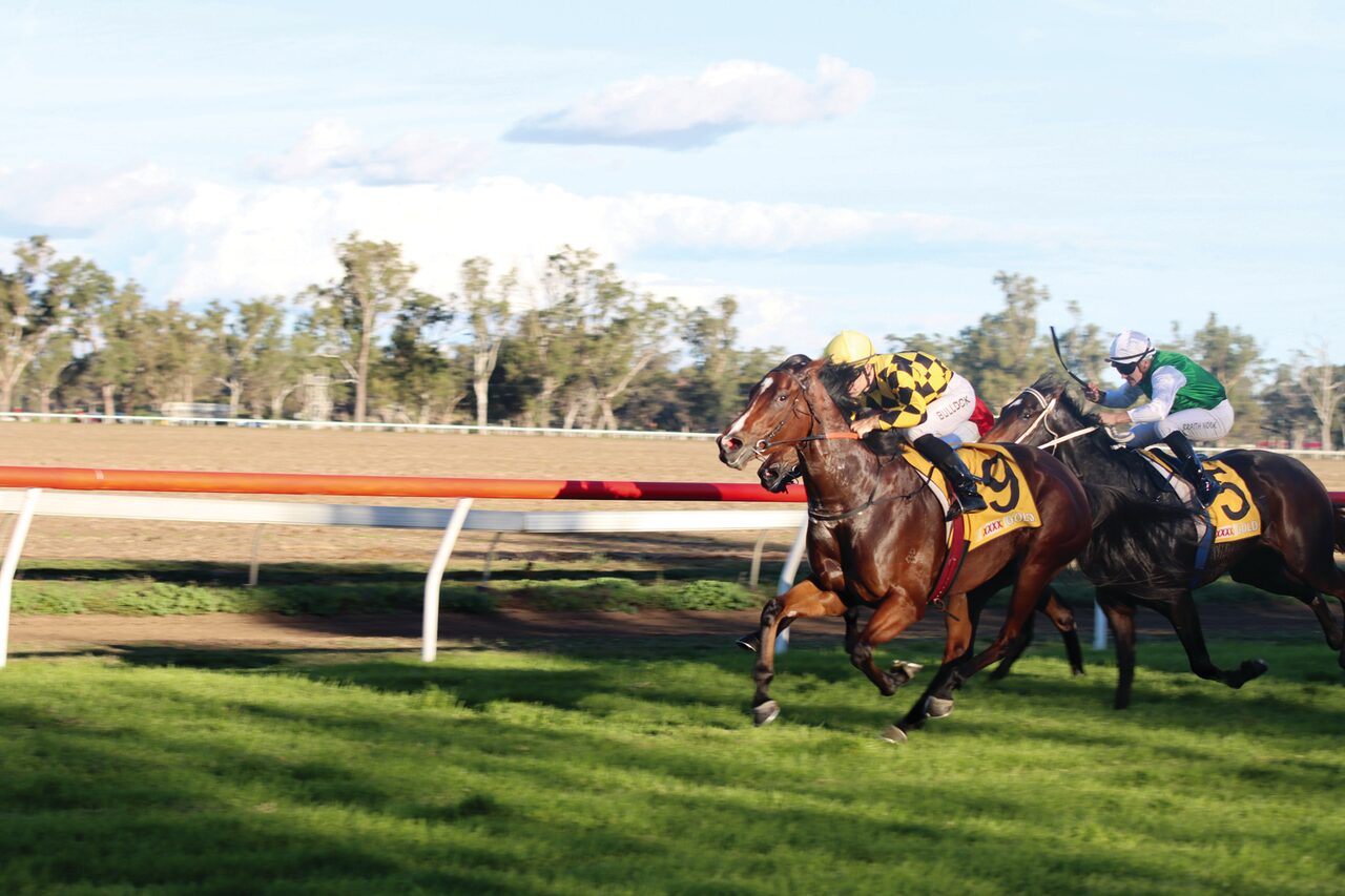 Hat-tricks for duo at Gunnedah race meet