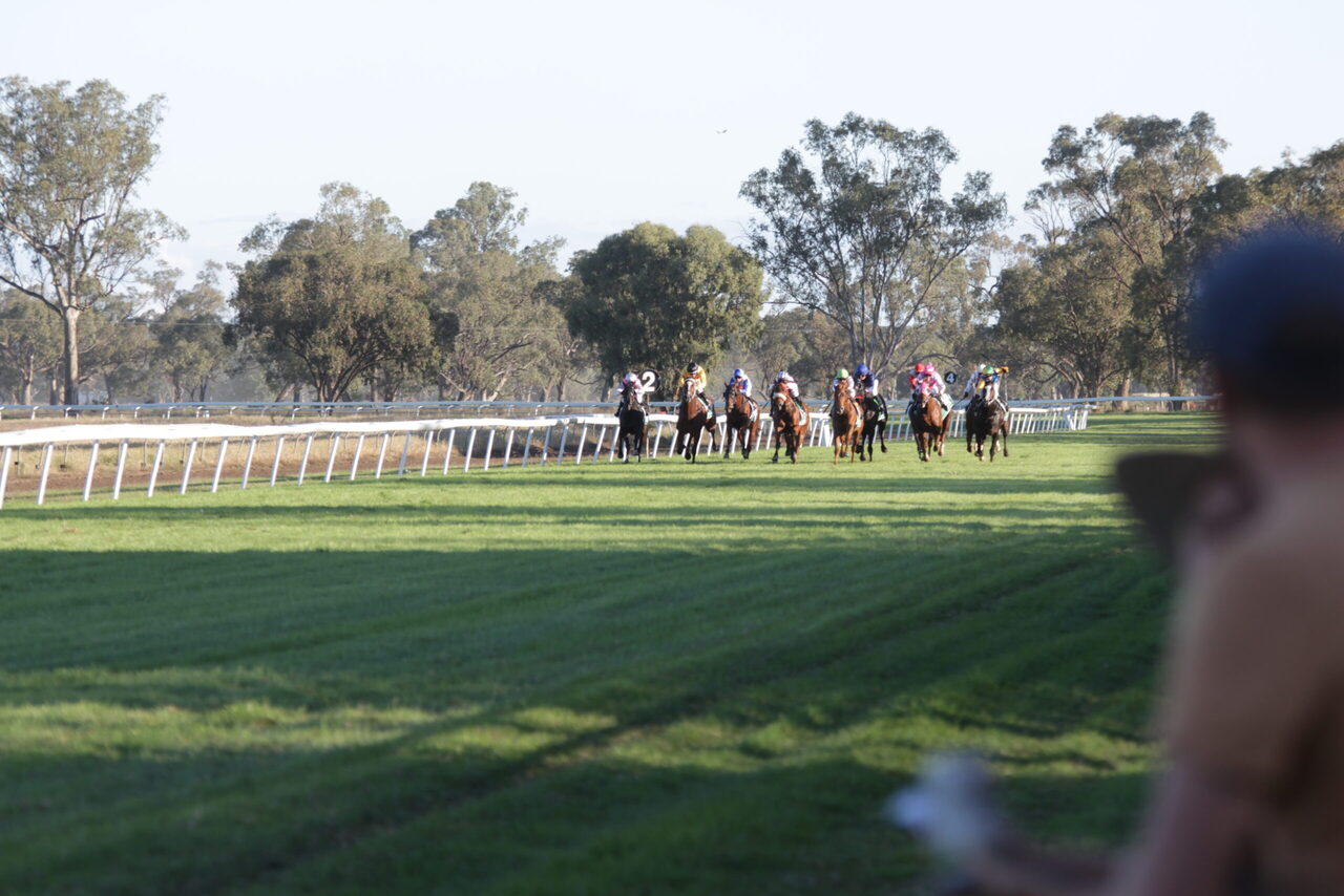 Gunnedah Jockey Club gears up for Monday’s May meeting