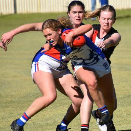 Gunnedah to host AFL festival and gala day