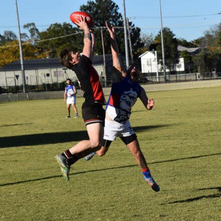 Dogs tamed as Saints go marching in