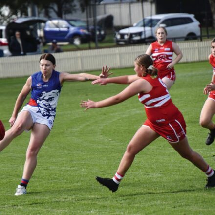 Poochettes fall just shy of century in big win