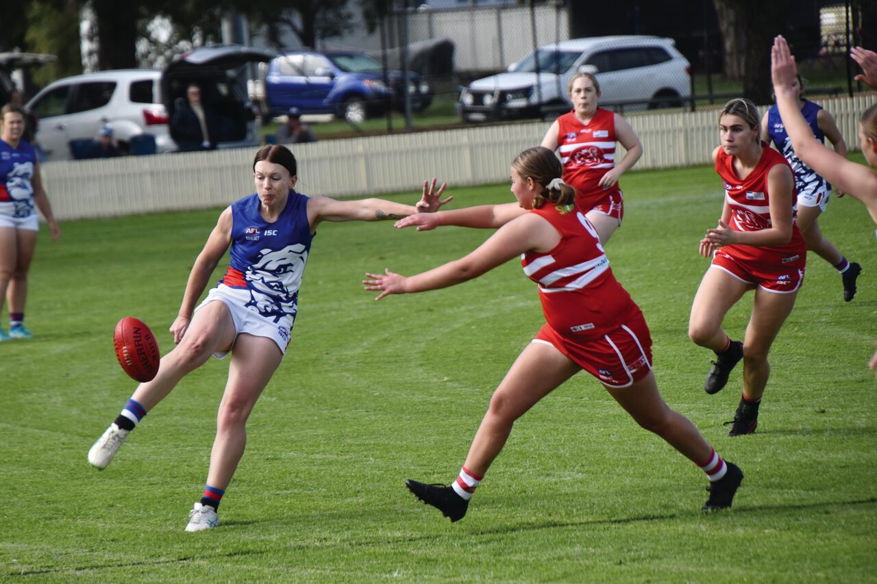 Poochettes fall just shy of century in big win