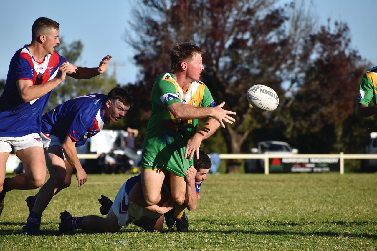 Kangaroos’ fightback dooms Bulldogs