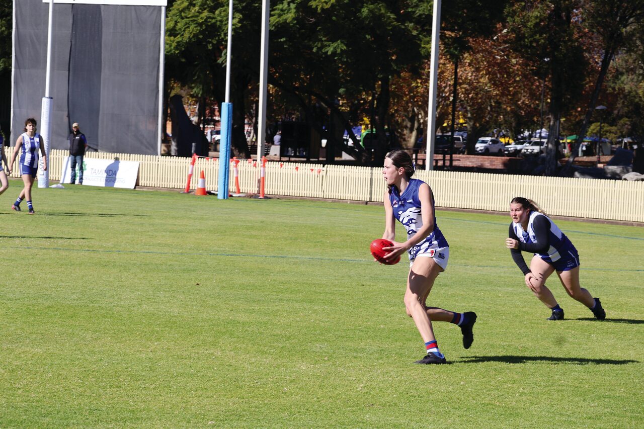 Poochettes pounce on Tamworth Roos