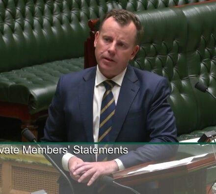 Targeted action needed to address feral pig numbers in Northern Tablelands: MP