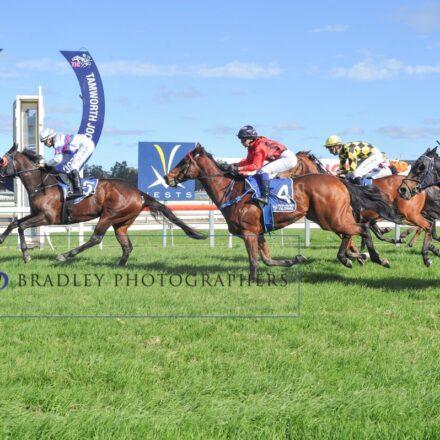 Two wins for Gunnedah horse trainer Gavin Groth