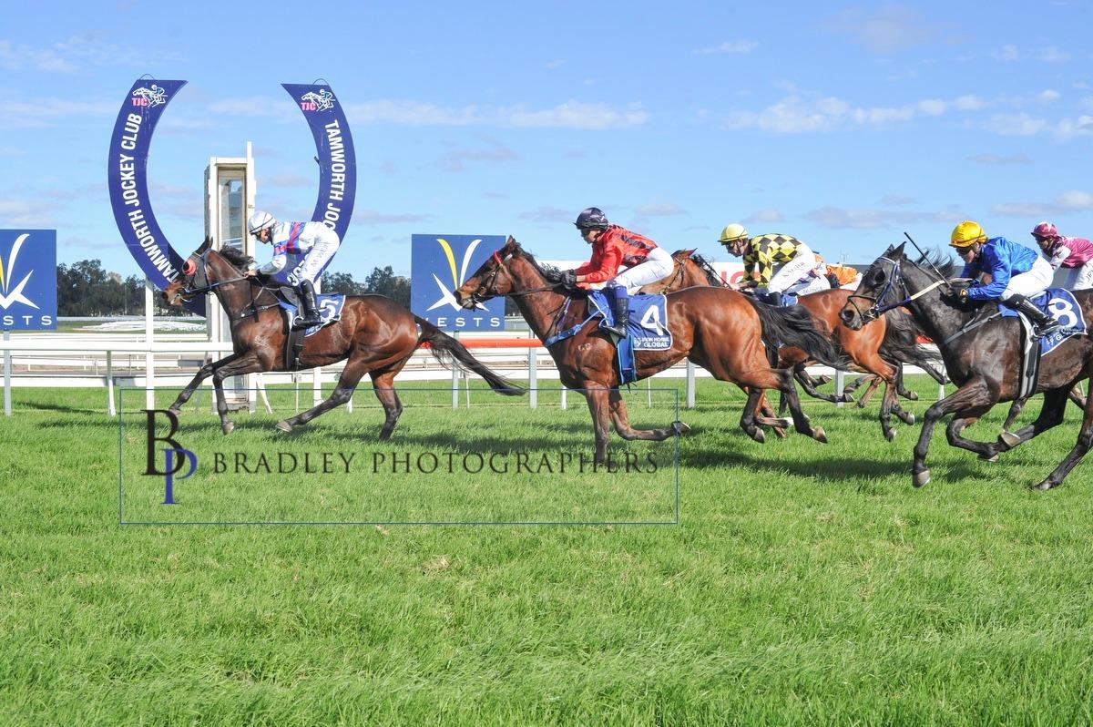 Two wins for Gunnedah horse trainer Gavin Groth