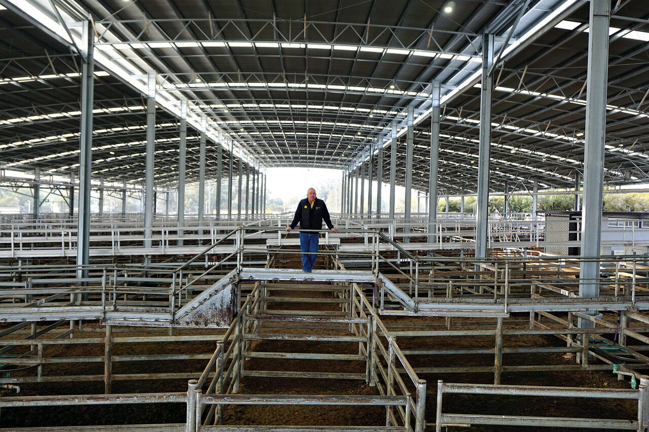 Gunnedah Regional Saleyards $27.4 million redevelopment officially opened