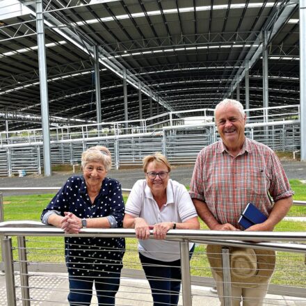 Council calls for detoxification centre