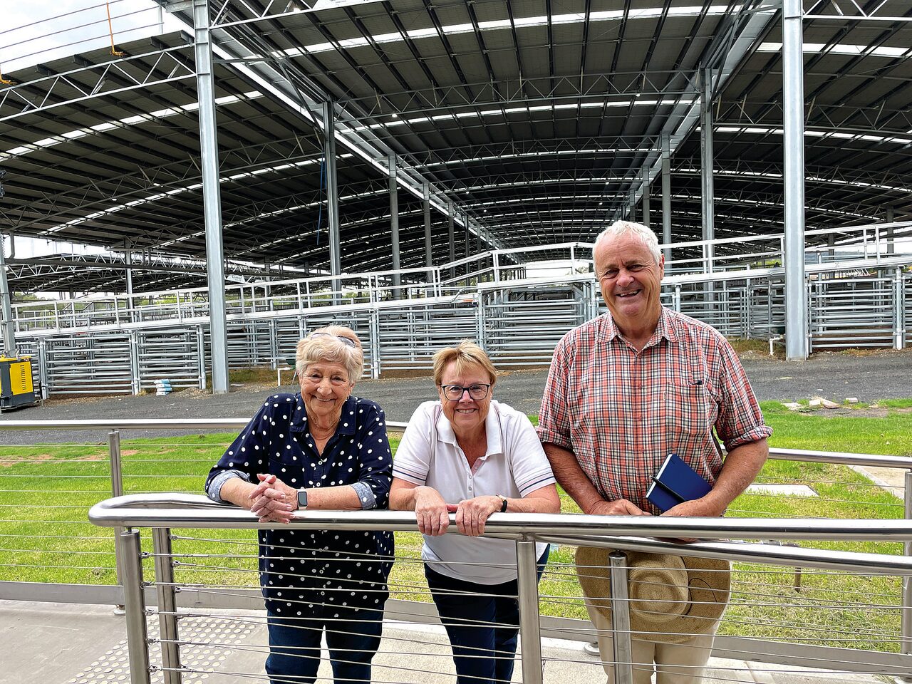 Council calls for detoxification centre