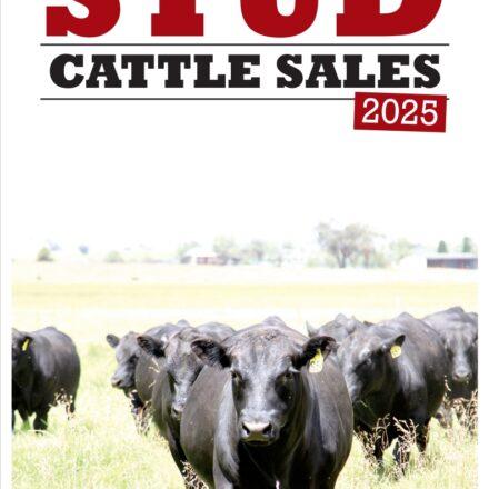 Stud Cattle Sales 2025 is out now