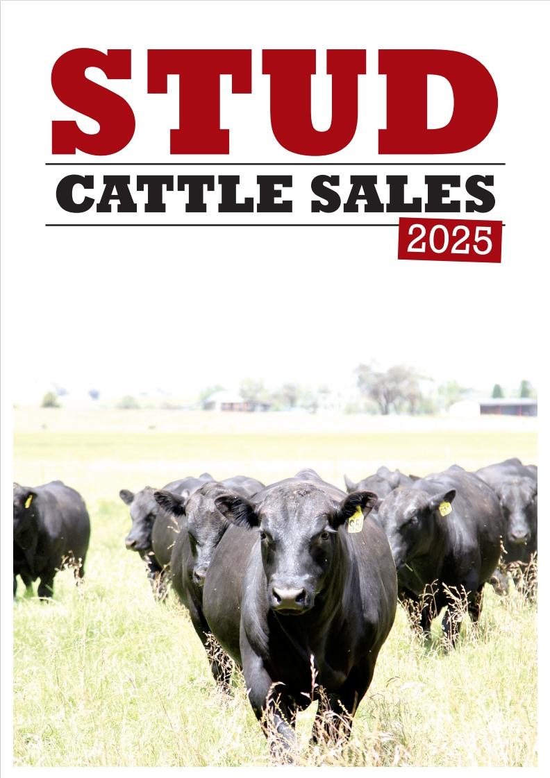 Stud Cattle Sales 2025 is out now