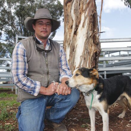 Gunnedah hosts 2025 Working Dog Trials
