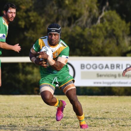 Kangaroos notch half-century and keep clean sheet