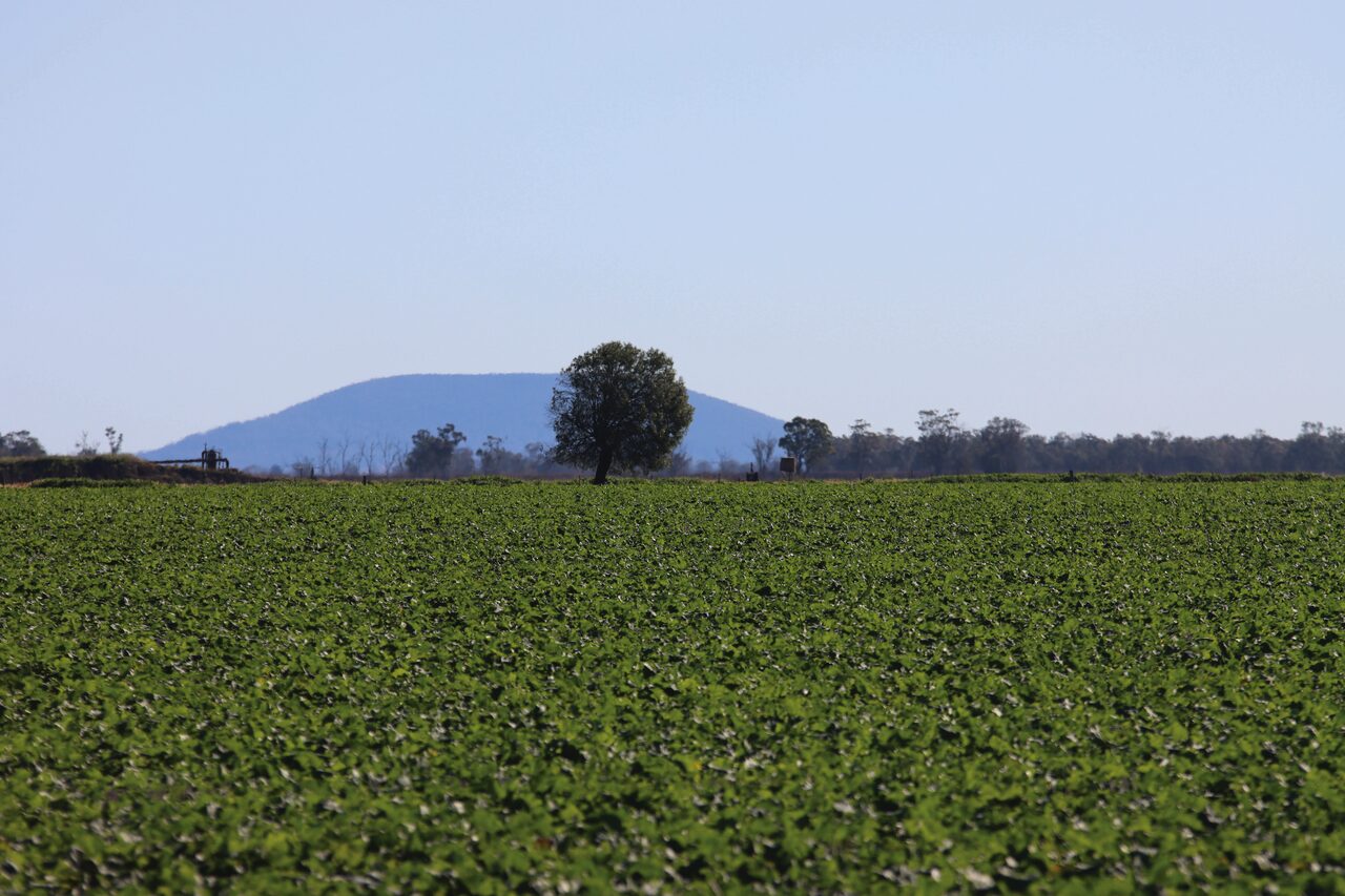 Input sought to improve on farm connectivity for next grant round