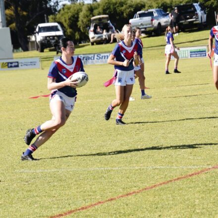 Half-century of points for Dogs leaguetaggers
