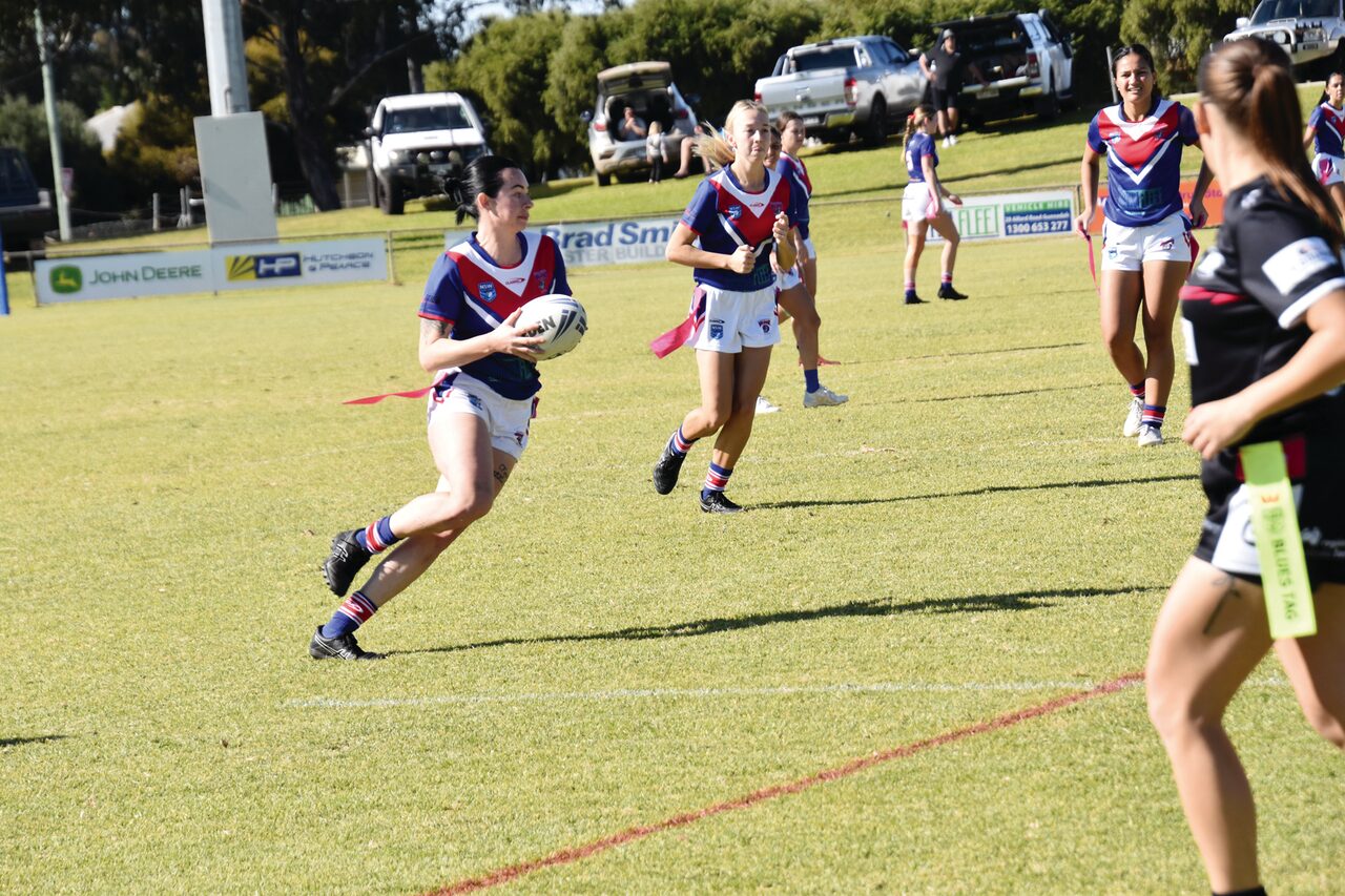 Half-century of points for Dogs leaguetaggers