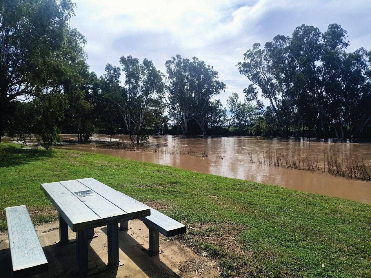Disaster preparedness project Equip withdraws Gunnedah plan