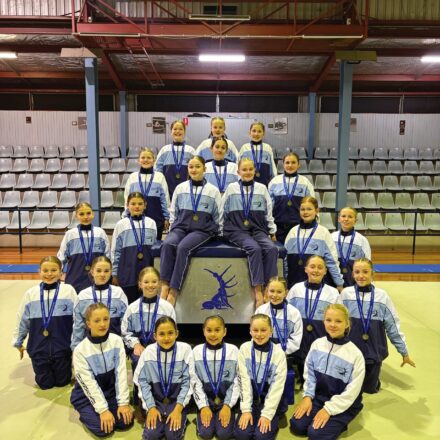 Gunnedah gymnasts in fine fettle at home venue