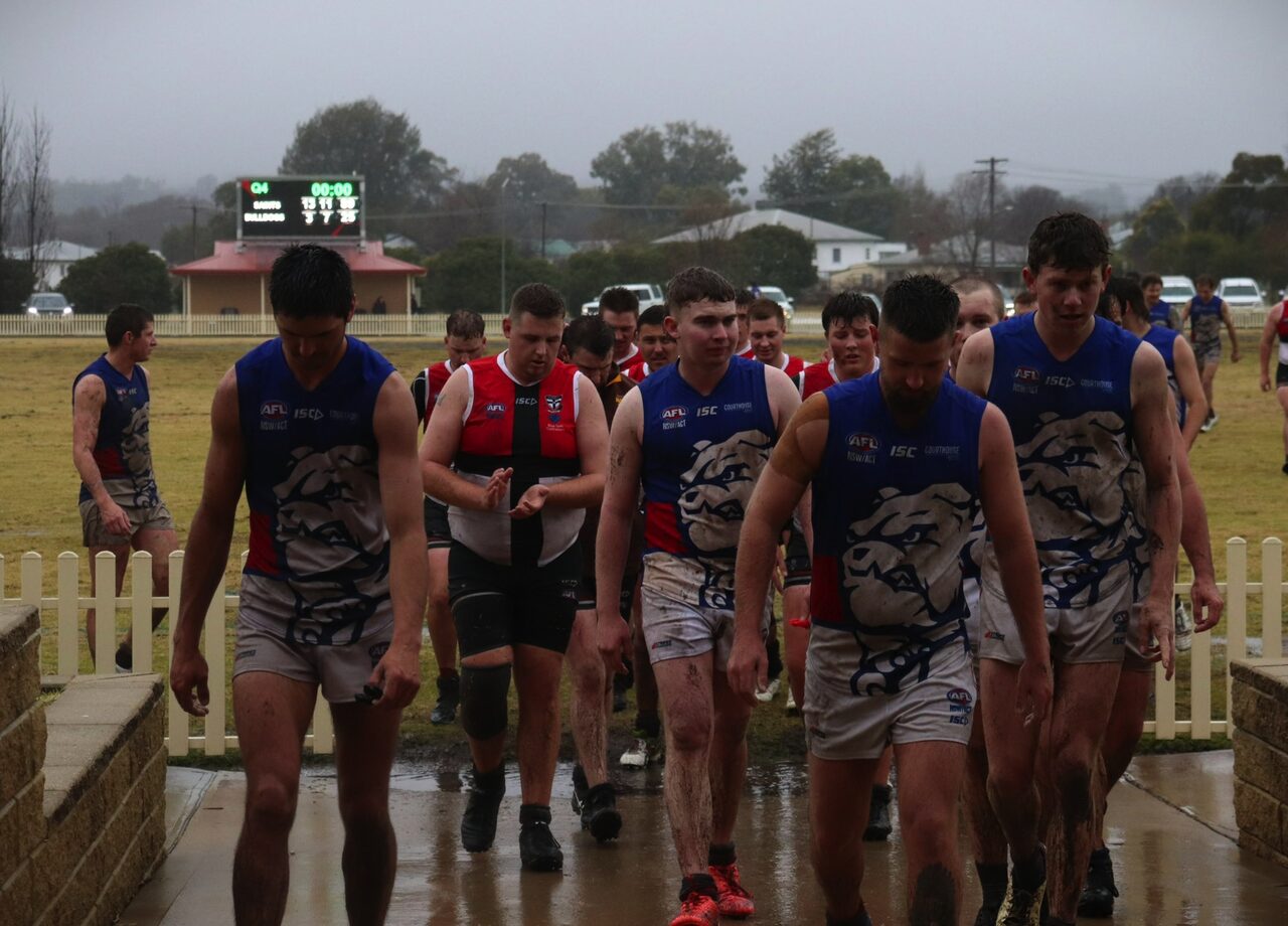 Bulldogs AFC men show improvement