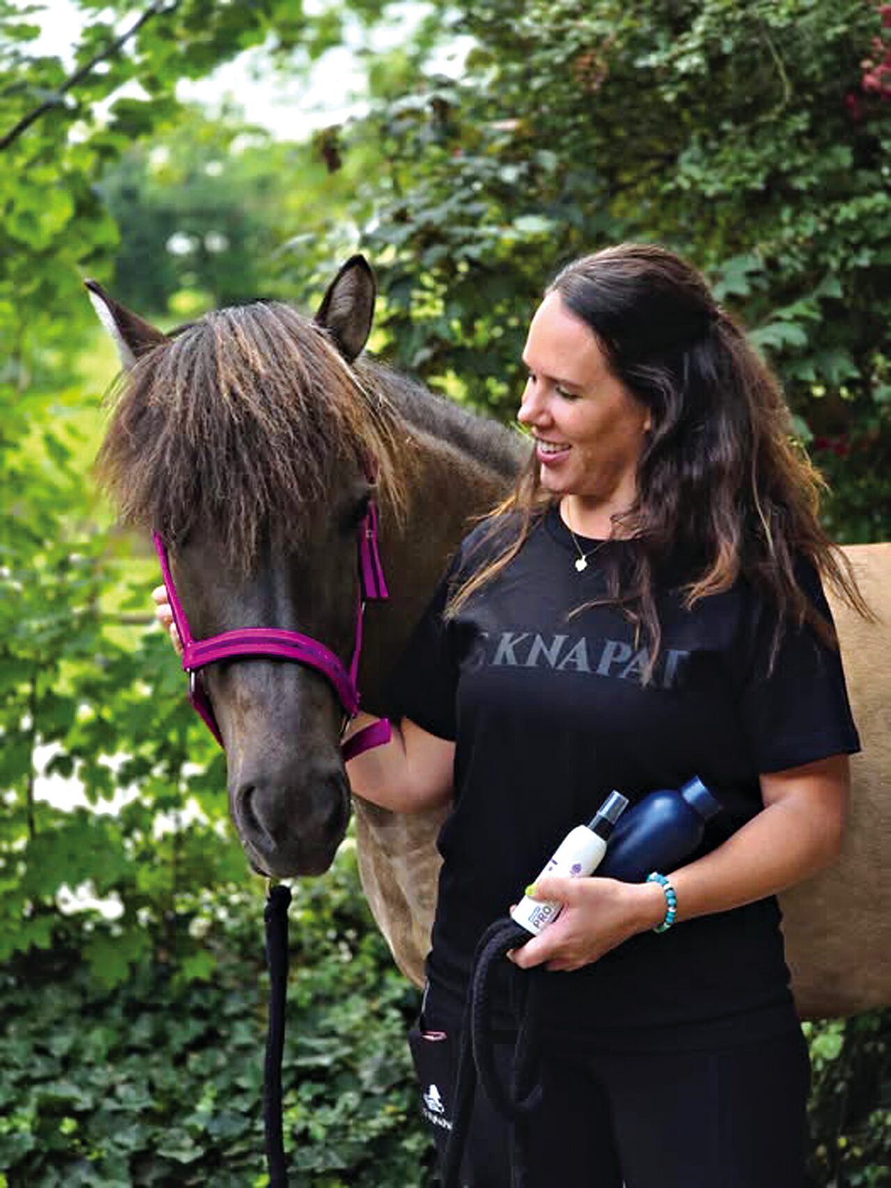 Australian debut just days away for Icelandic Horse comp
