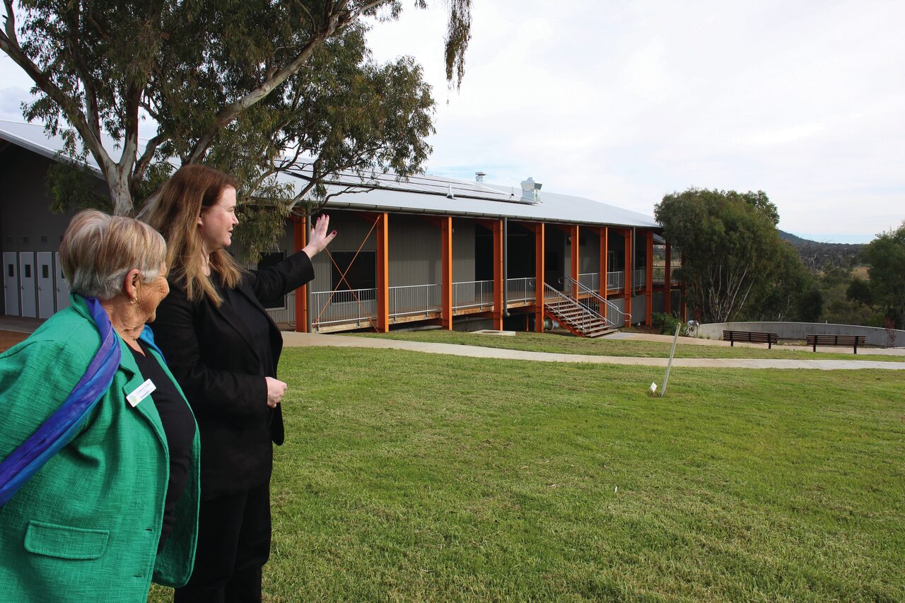 Too soon for koala information day says Gunnedah council, operator