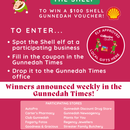 Shell Elf on a Shelf | terms and conditions