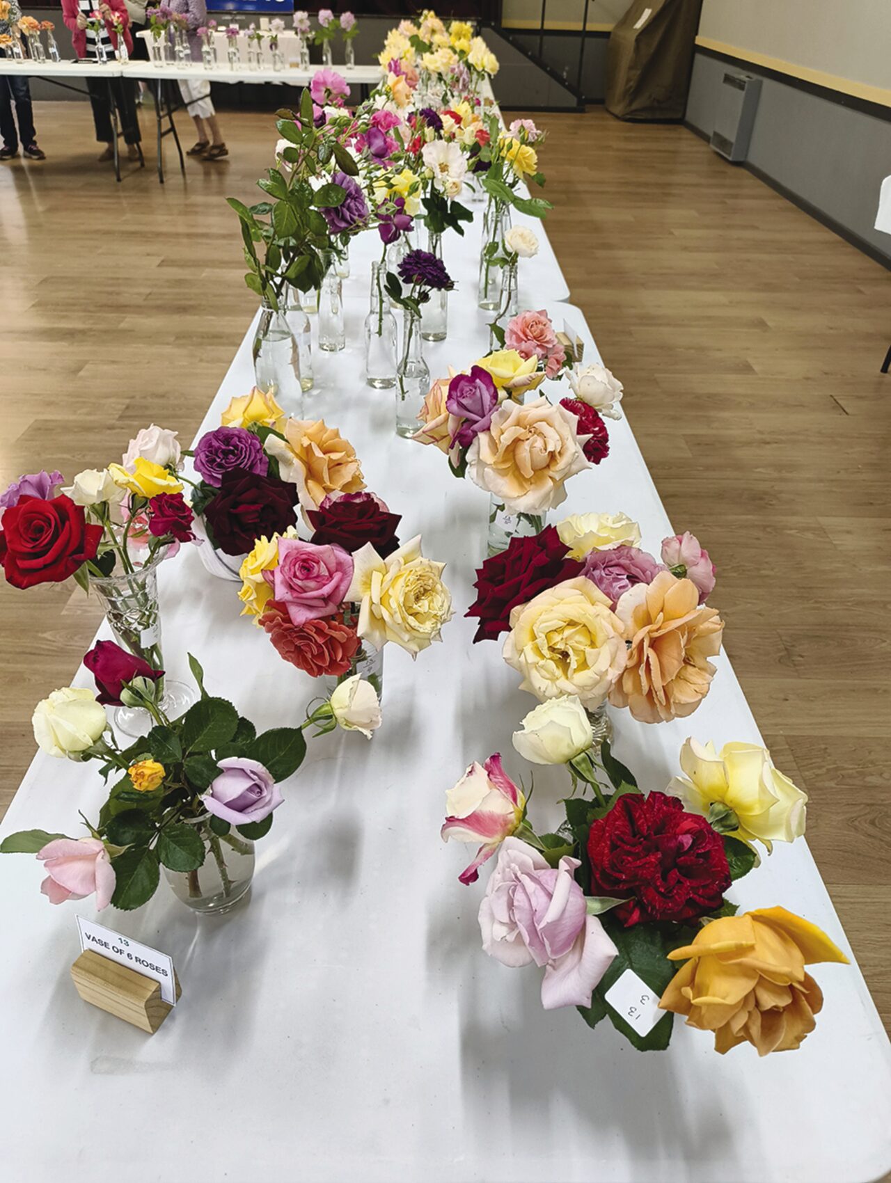 Almost 20 years of the Gunnedah Rose Show - Gunnedah Times