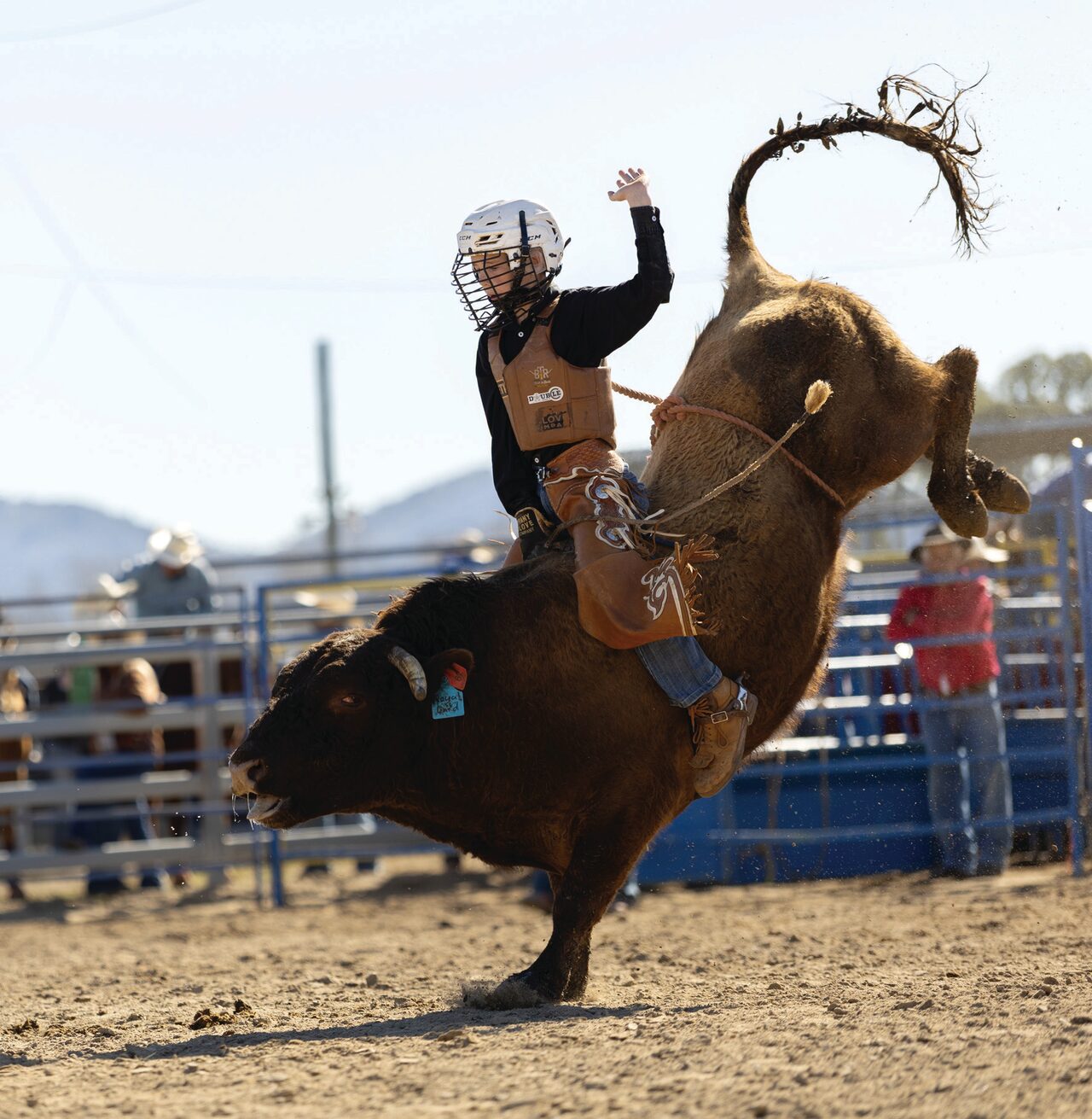 Mini bull rider crowned Aussie champion - Gunnedah Times