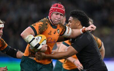 Harry Wilson Wallabies selection