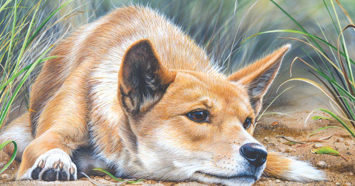 Paws and palettes: a history of dogs in Australian art 