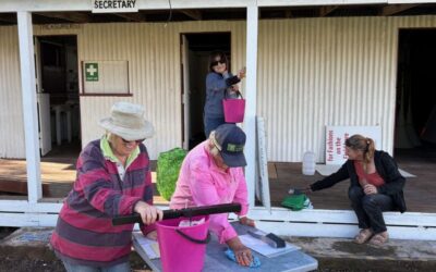 Wean Picnic Races