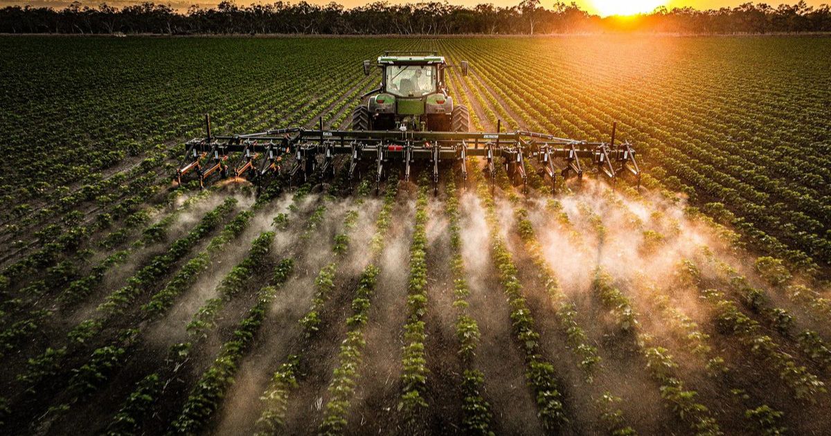 Cotton communities shine in Click 26 photo awards